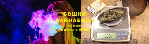 тгк Гусев