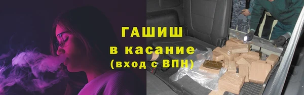 тгк Гусев