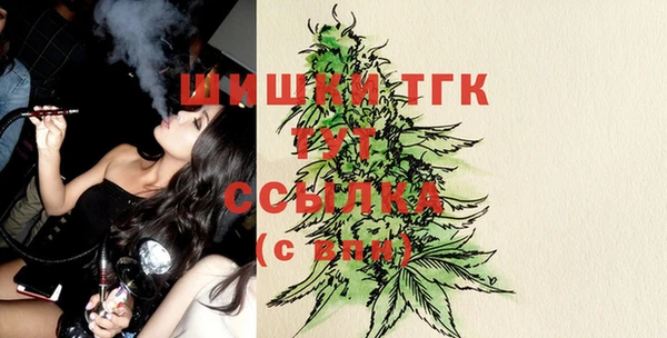 МДПВ Гусиноозёрск