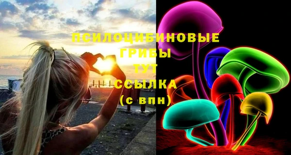 тгк Гусев