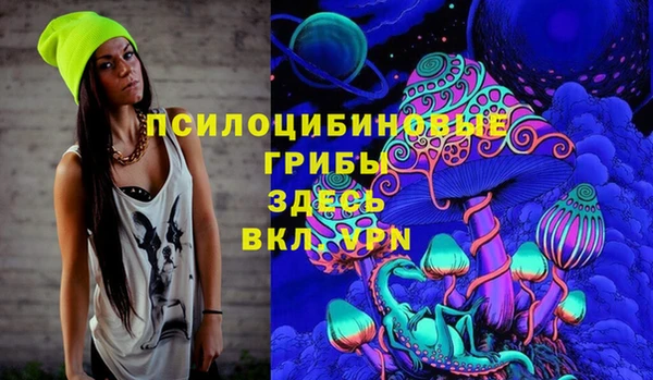тгк Гусев