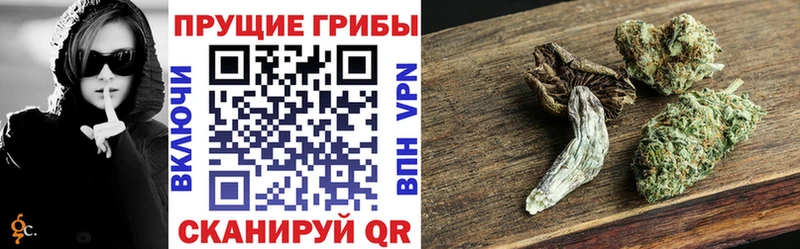 Купить  Тара  Псилоцибиновые грибы прущие грибы 
