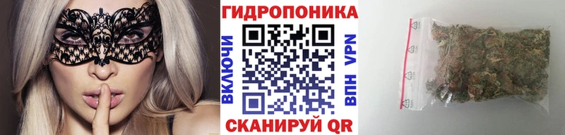 Шишки марихуана THC 21%  Купить закладки  Тара 